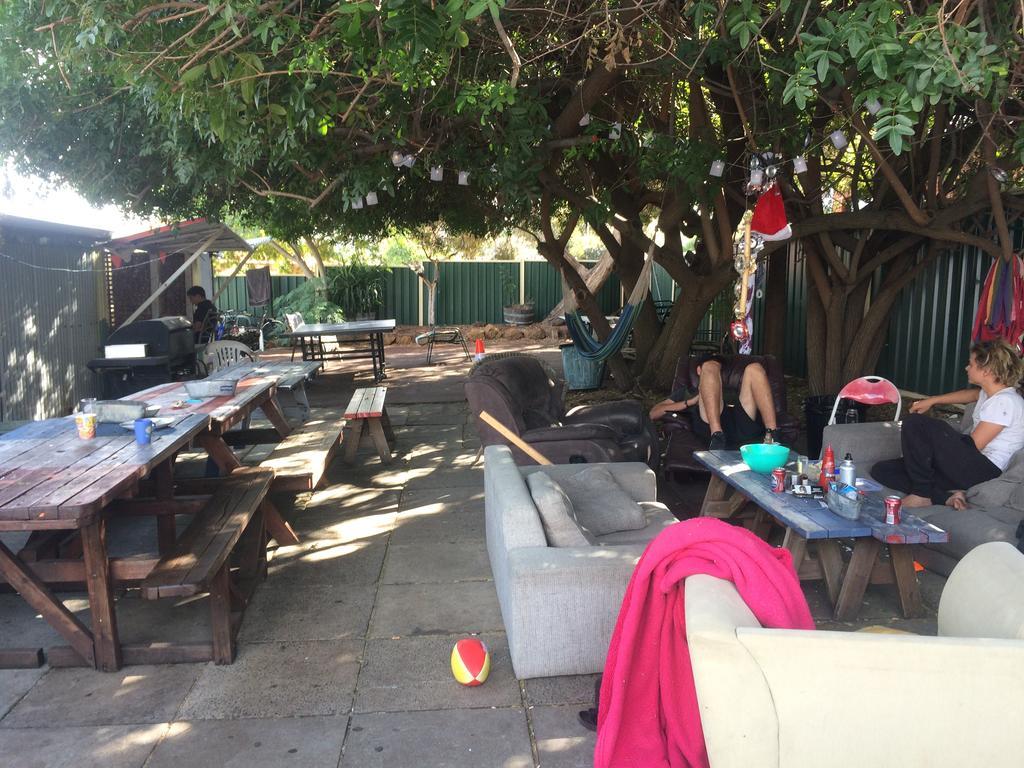 بيرث Planet Inn Backpackers المظهر الخارجي الصورة